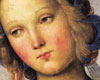 Fano, volto della Vergine nella pala del Perugino conservata nella Chiesa di Santa MAria Nuova (1497)